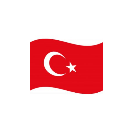 Turkey RDP - Cloud RDP - Istanbul ( Turkey )